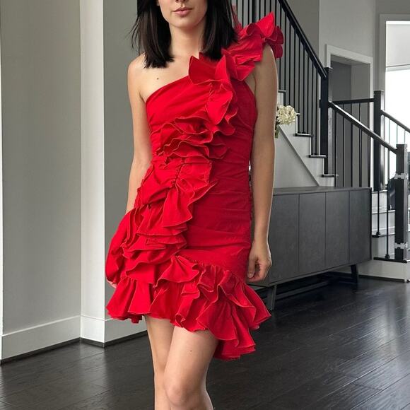 AKNVAS Sonia Dress size 6 Ruffle Mini One Shoulder Size 6 - Picture 1 of 6